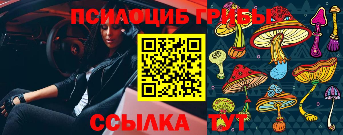 Южно-Сахалинск  Галлюциногенные грибы прущие грибы  Вход с VPN 