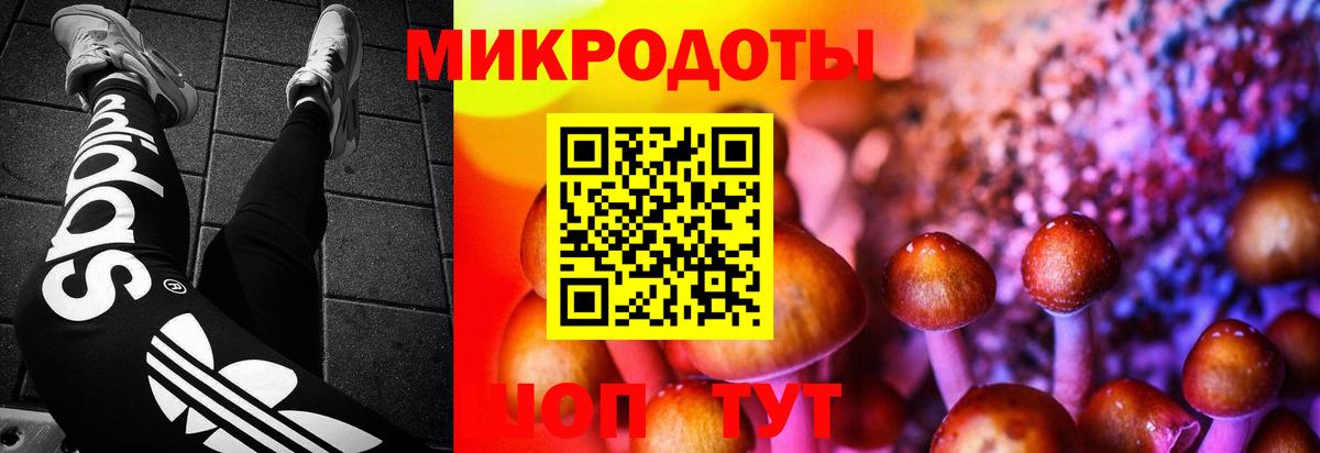 Псилоцибиновые грибы ЛСД Южно-Сахалинск